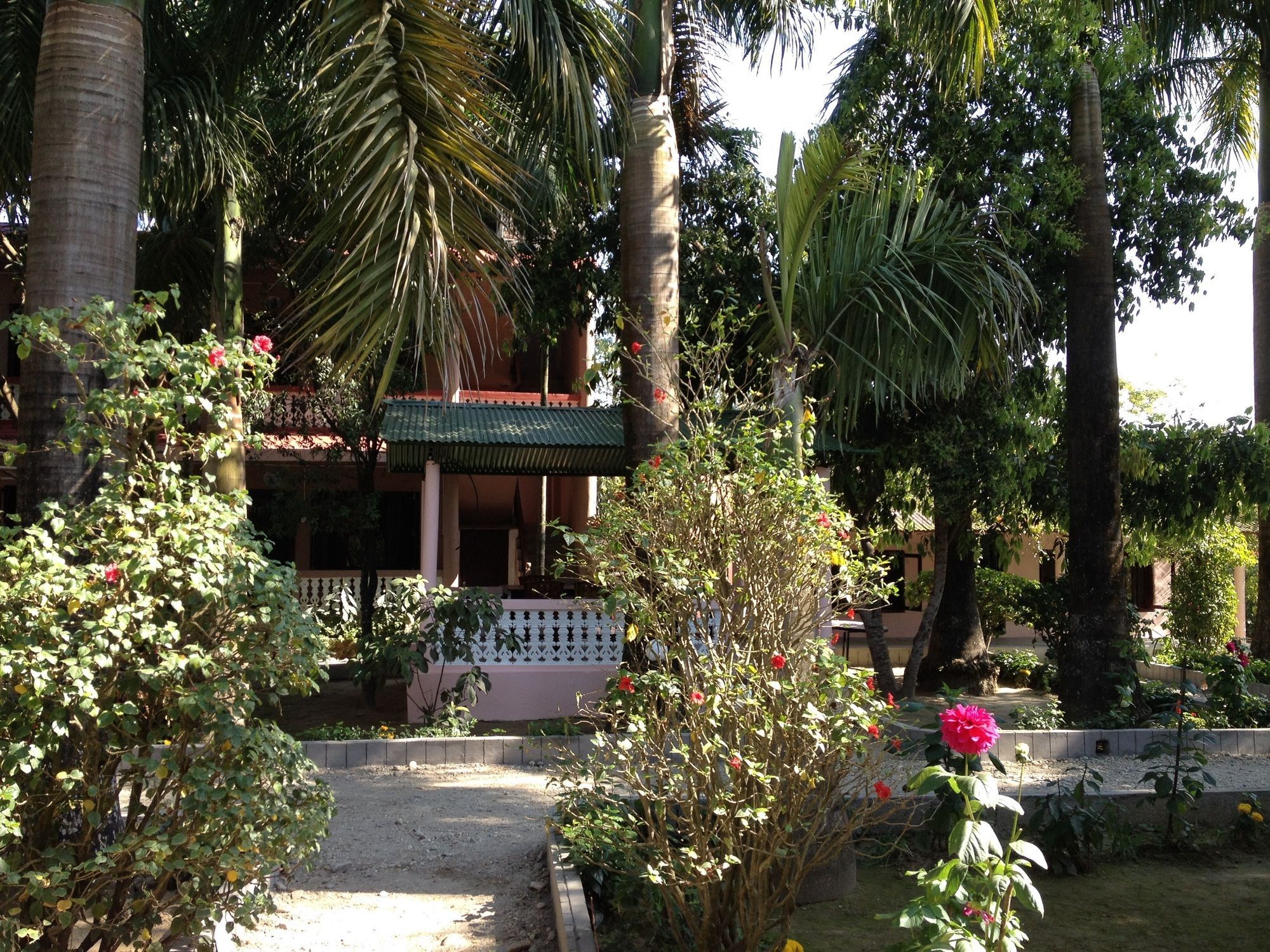 Ama Garden Sauraha Hotel Exterior photo