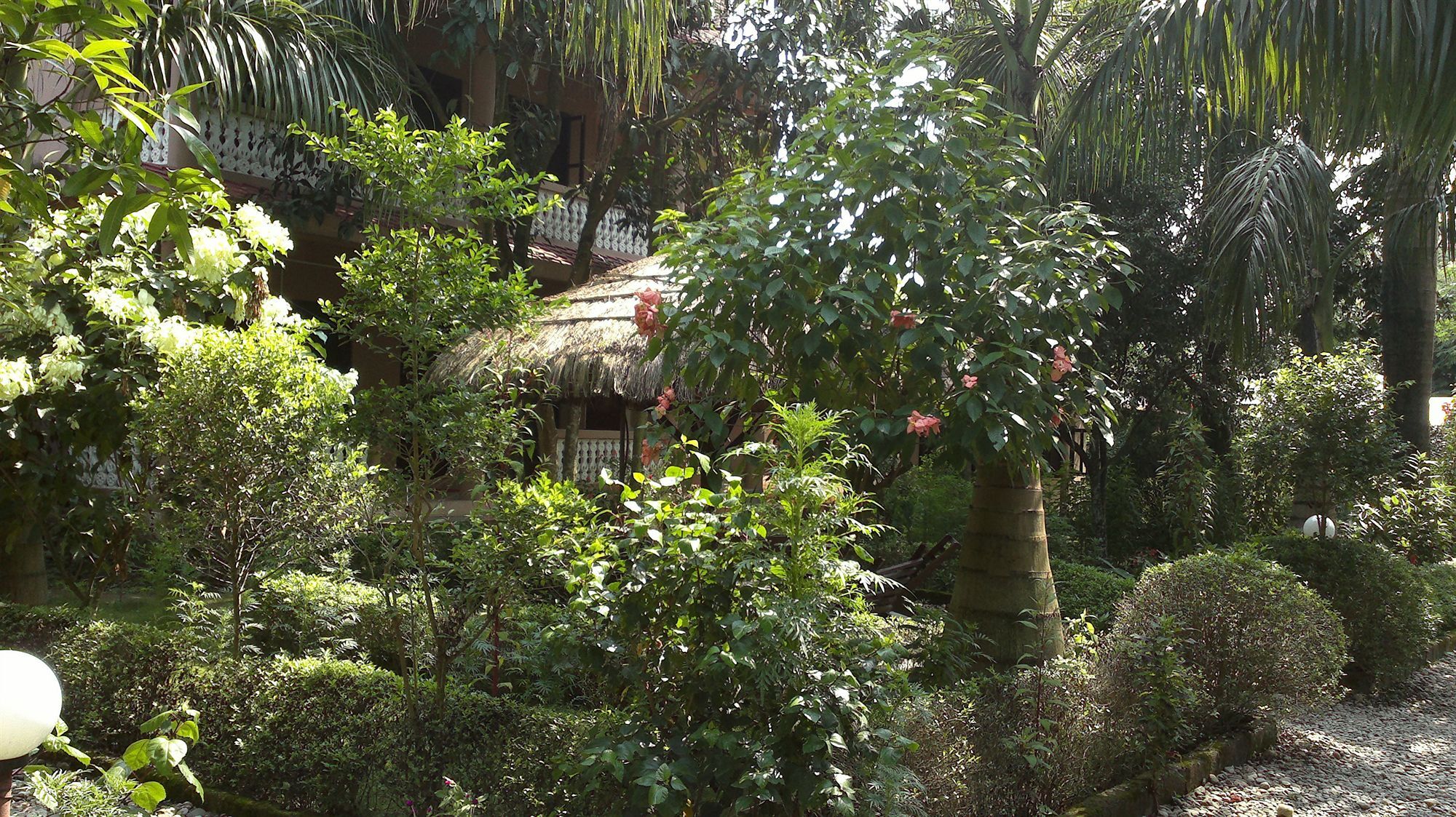 Ama Garden Sauraha Hotel Exterior photo