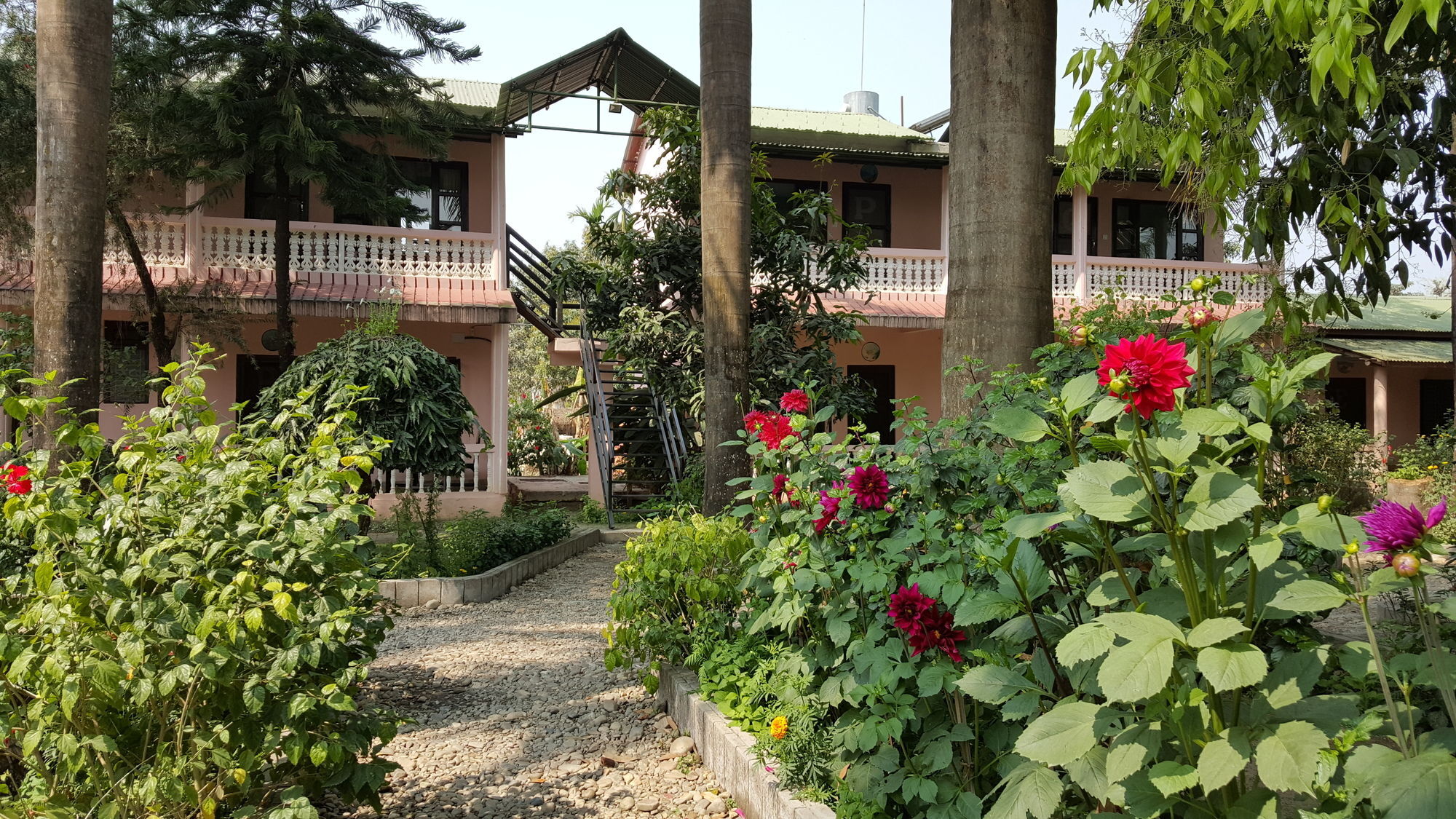 Ama Garden Sauraha Hotel Exterior photo